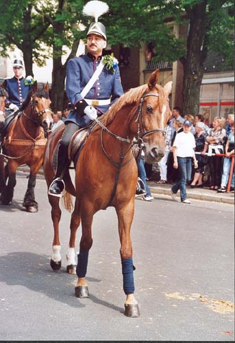 Wachtmeister
