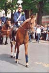 Wachtmeister