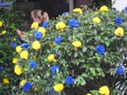 IMG_2979