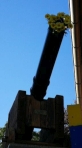 Schuetzenfest_2022_108.jpg